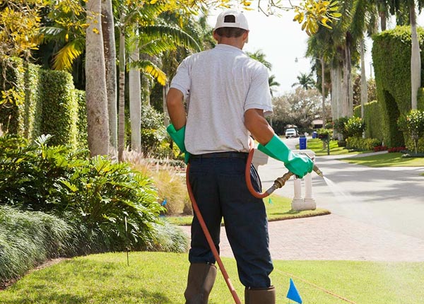 About Christmas FL Pest Control Pros
